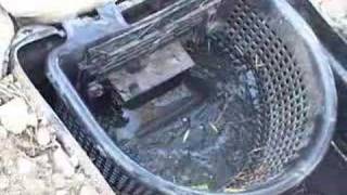 The Making of Oasis Winners Pond