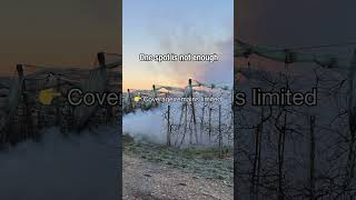 Positioning is key | Frost protection in practice (Part 5)