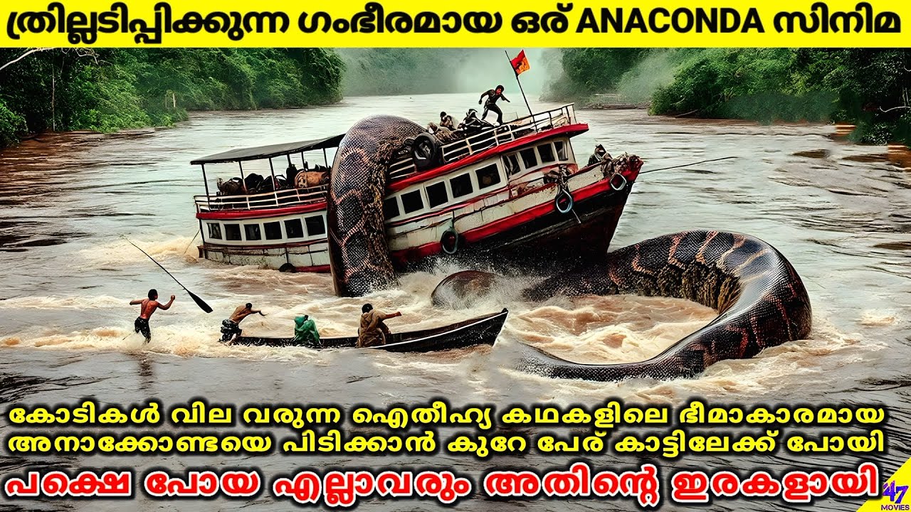 ത്രില്ലടിപ്പിക്കുന്ന ഗംഭീരമായ ഒരു അനാക്കോണ്ട സിനിമ | Movie Explained In Malayalam | 47 MOVIES