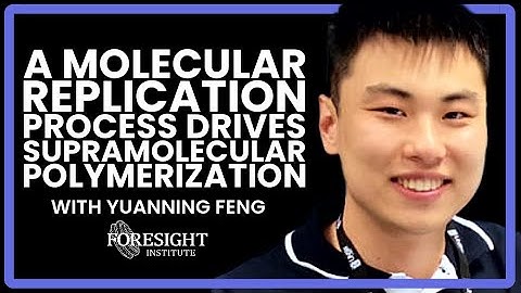 Yuanning Feng | A Molecular Replication Process Drives Supramolecular Polymerization