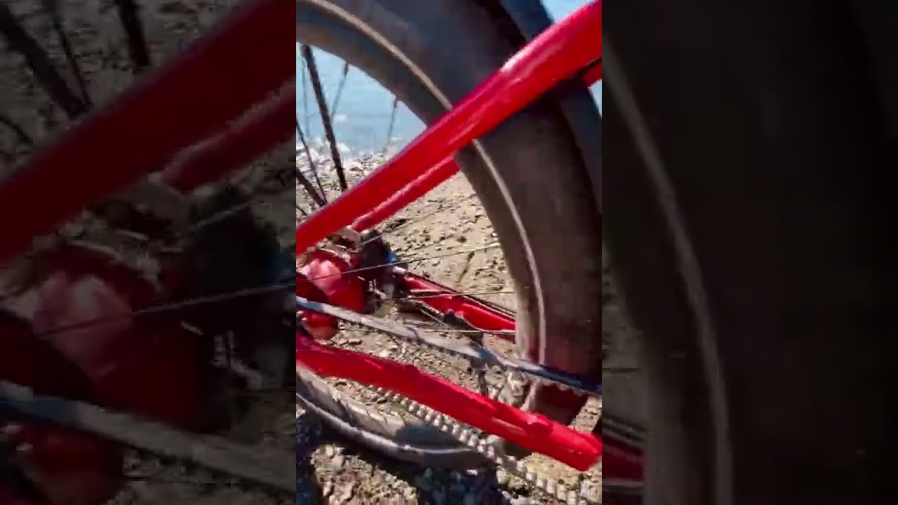 Once you ride a Zen E-bike, you’ll never go back ⚡️