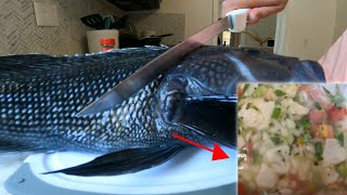 Black Sea Bass Ceviche Recipe Sea Bass Ceviche Step By Step Recipe With Miri From Masterchef 5