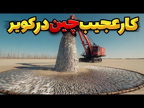 چینی ها 100 هزار ماهی رو تو بیابون ریختن 5 سال بعد اتفاقی که رخ داد جهان رو شوکه کرد