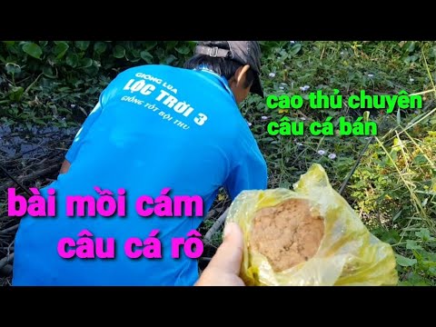 Video bài mồi tanh | trúng nguyên ổ cá trê , cá rô | gặp cao... - youtube