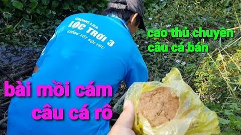 bài mồi tanh | trúng nguyên ổ cá trê , cá rô | gặp cao thủ câu cá bán chia sẻ bài mồi cám câu cá rô.