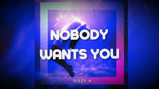 Viszy A - Nobody Wants You