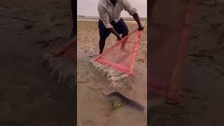 fishing techniques or tools