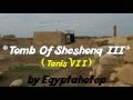 EGYPT 827 - Tomb of SHESHONQ III - (by Egyptahotep)
