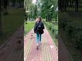 Гуляем с шнеком в парке 💖  #папильон #щенок #ушибабочка #папийон #собакабабочка