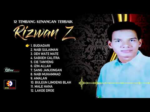 RIZWAN Z - BUDIADARI (Tembang Kenangan) Audio HD Quality 2025