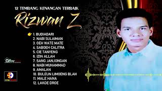 Download Lagu RIZWAN Z - BUDIADARI (Tembang Kenangan) Audio HD Quality 2025 MP3