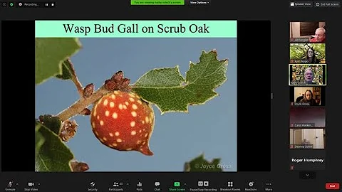 Gall Talk with Kathy Schick and Joyce Gross, Part 2