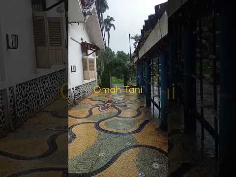 Suara Hujan Omah Tani 8