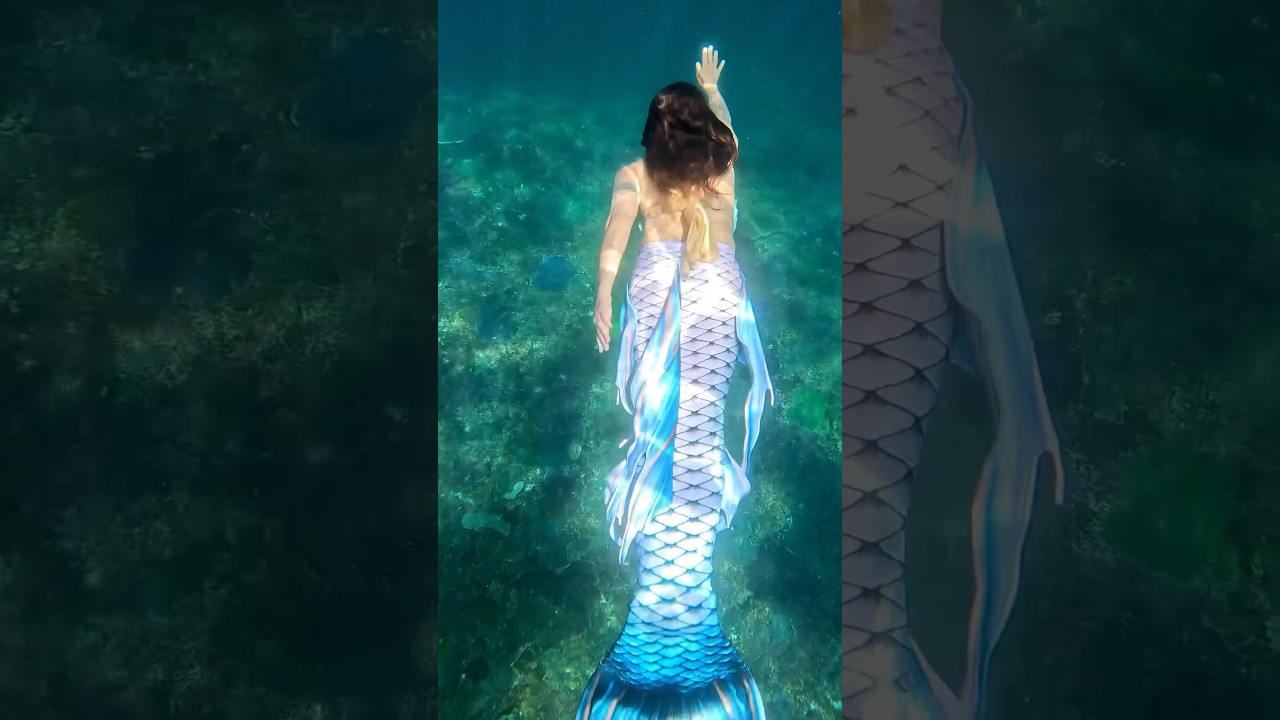 Mermaid freedom 🐚 