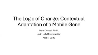 'The Logic of Change: contextual adaptation of a mobile gene' by Nate Grassi