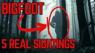 5 Real Bigfoot Sightings! Do you Believe
