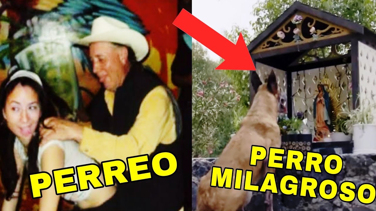 LAS ESTUPIDECES DE LA ROSA DE GUADALUPE 2