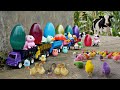 Colorful Surprise Eggs, Cow, Octopus, Dinosaur, Duck, Love Bird, Owl, Squirrel, Truck, Thomas train
