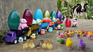 Colorful Surprise Eggs, Cow, Octopus, Dinosaur, Duck, Love Bird, Owl, Squirrel, Truck, Thomas train