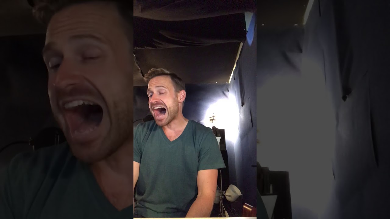 Gregor Meyle Dir Gehört Mein Herz