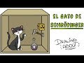 EL GATO DE SCHR&Ouml;DINGER | Draw My Life
