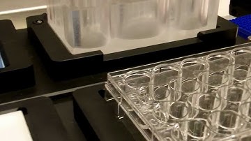 Automated Fungi Picking on SOLO Pipettor