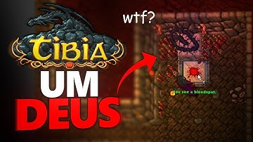 TIBIA PASSA DOS LIMITES! ACHEI UM DEUS! (onde é que eu estou entrando?)