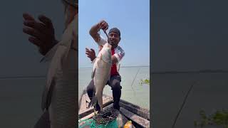 Unique hand fishing method - 05 #fishing #river