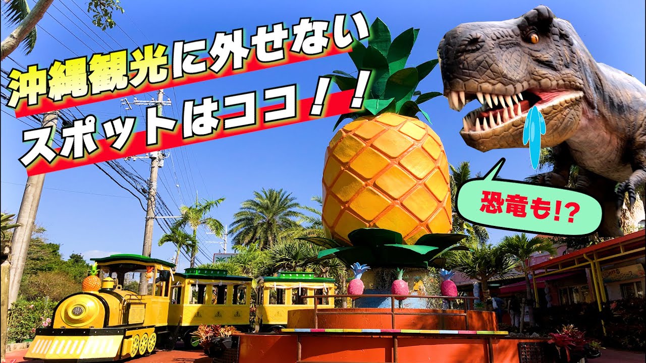 【ナゴパイナップルパーク】子供が喜ぶ沖縄観光スポットおすすめ！