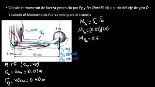 Calcule el torque generado por Fg y Fm a partir de O. Y calcule el torque total para el sistema Calcule el torque generado por Fg y Fm a partir de O. Y calcule el torque total para el sistema