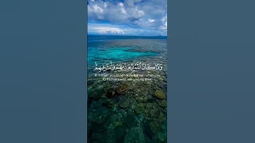 وما كان الله ليعذبهم وأنت فيهم ||عبدالرحمن الزواوي- سورة الأنفال  #قرآن #تلاوات
