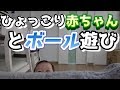 ボール遊びに夢中の赤ちゃん&ひょっこり赤ちゃん【がっちゃんくらぶ】