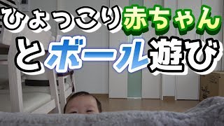 ボール遊びに夢中の赤ちゃん&ひょっこり赤ちゃん【がっちゃんくらぶ】