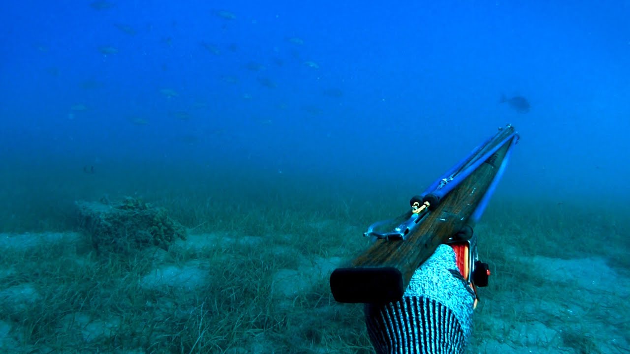 ️ fish gun - YouTube
