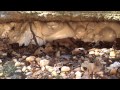 Concrete Corrections   Filling Voids Underneath a Slab