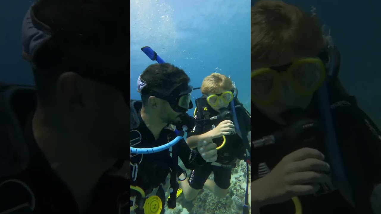 Diving with professionals 🌊 