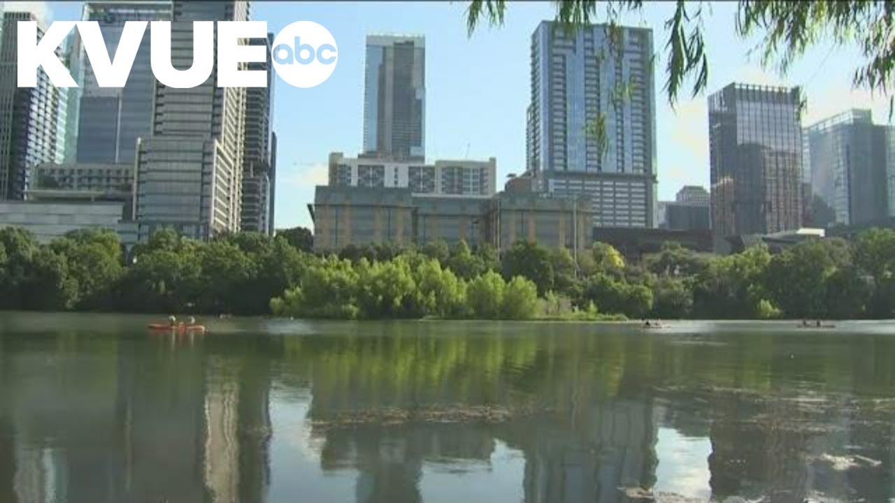 Plant causing murky water at Lady Bird Lake | KVUE