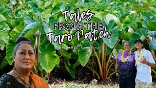 Kumu Hina | Cultural Advocate & OHA Candidate | Tales From The Taro Patch #27