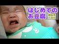 初めてのお豆腐！もっと食べたくて泣いちゃいました【離乳食初期】Baby eating tofu for the first time.