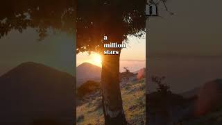 Right Here Tonight ✨ | Emotional Pop EDM Anthem 2026