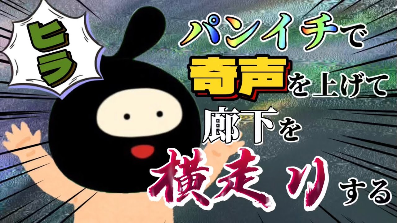 【ヒラ切り抜き】狂気！パンイチで横走りするヒラ【マリオカート8DX】