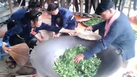 Trà Tân Cương  Thái Nguyên.