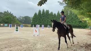 2023 Schooling Flat Courtomer