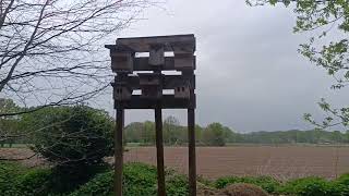 NABU Naturschutzstation Nettetal / Artenschutz / Amphibienteiche / Insektenhotels / Vogelkästen