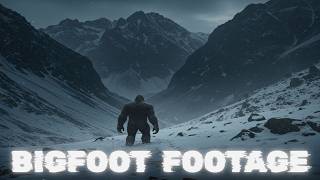 5 Mysterious Bigfoot Clips That Will Make You Look Twice