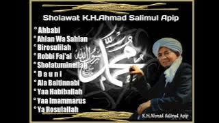 Sholawat Kh Ahmad Salimul Apip #bersholawat #sholawat