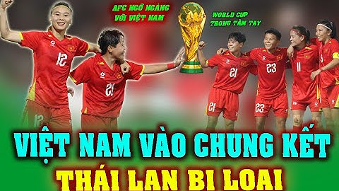 Việt Nam Toàn Thắng! Vé Asian Cup Trong Tay – Thái Lan, Indonesia Rơi Tự Do