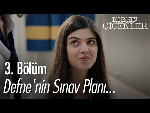 Defne'nin sınav planı... - Kırgın Çiçekler 3. Bölüm