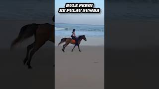 REAKSI BULE PERGI KE PULAU SUMBA TERPUKAU BANGET