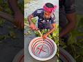 Amazing fishing system in muddy watter 03 #village #fishing #youtubeshorts